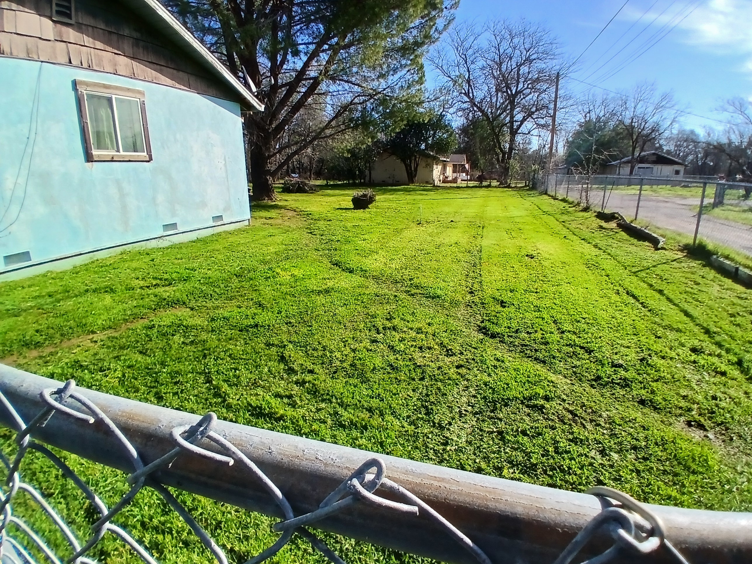 Freshly mowed property next to teal building